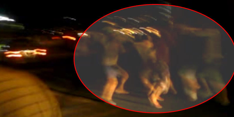 metanastes-maxairomata-3