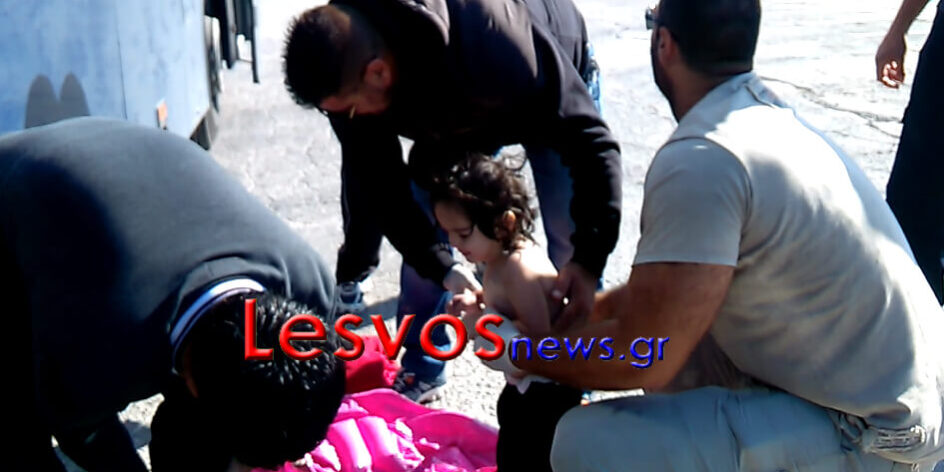 metanastes-3092015-5