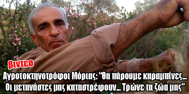 metanastes-provata-11