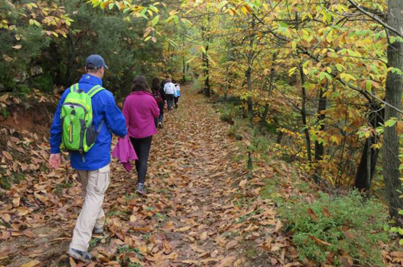 peripatos forea molivou