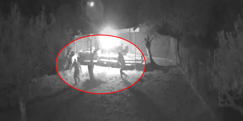 metanastes moria provata